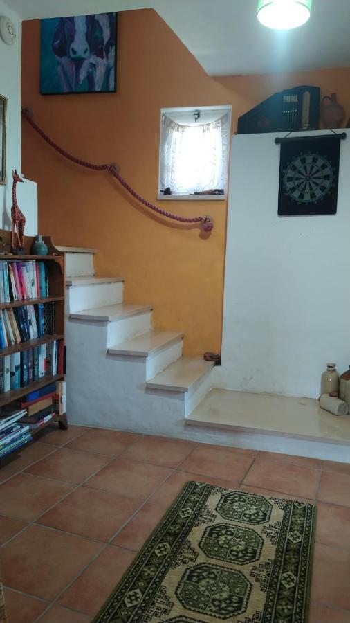 Casa Da Casimira Villa Miranda do Corvo Exterior photo